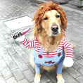 Load image into Gallery viewer, Dog Halloween Costume